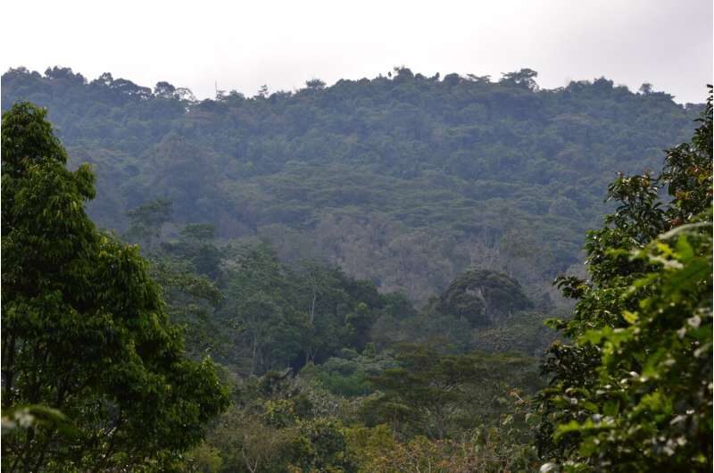 Kibale National Park