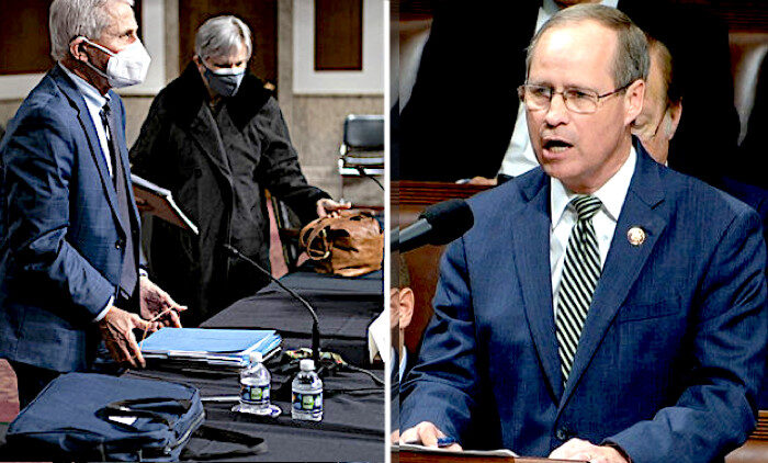 Click to enlarge Fauci/Murphy
