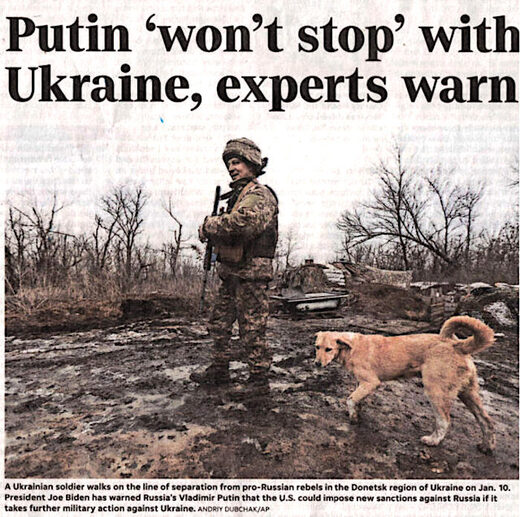 Click to enlarge soldier dog