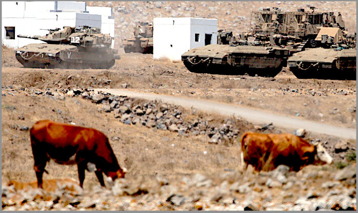 Click to enlarge tanks cows