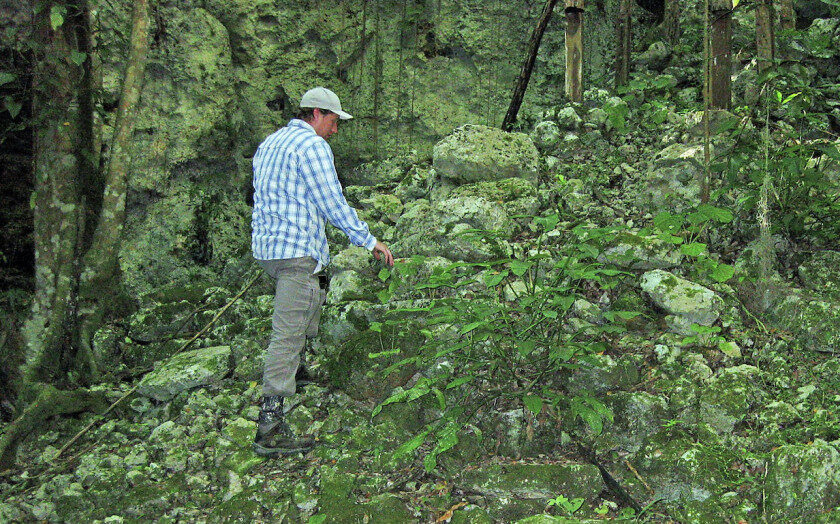 Researcher Chris Balzotti