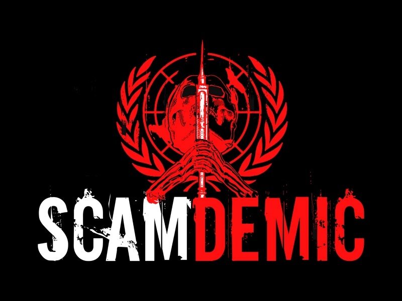Click to enlarge scamdemic
