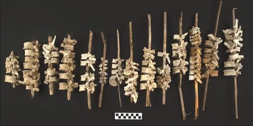 Click to enlarge spines