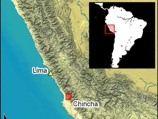 Click to enlarge Chincha Peru
