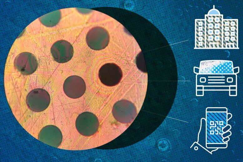 plymer material two dimensions