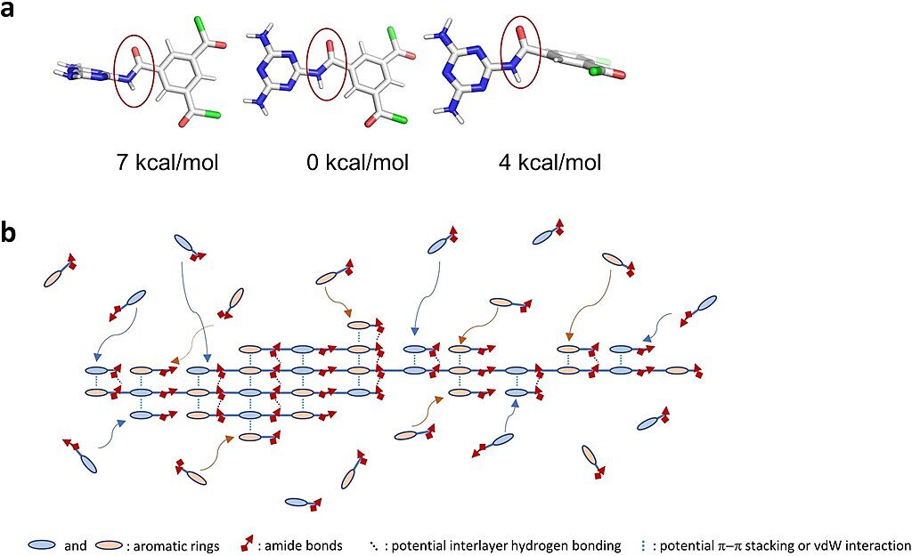 two dimensional polymer