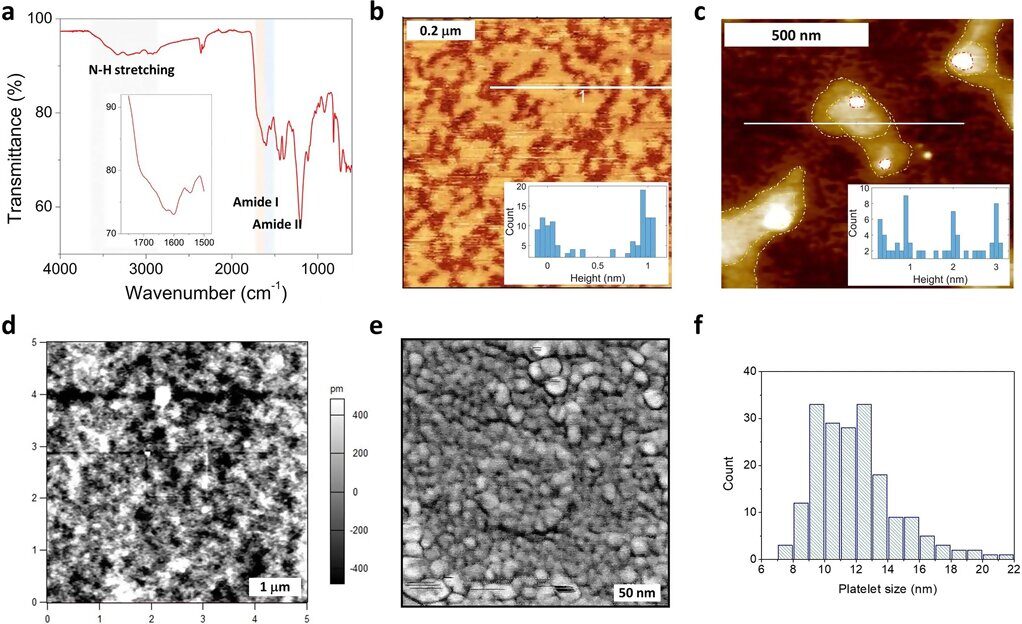 two dimensional polymer