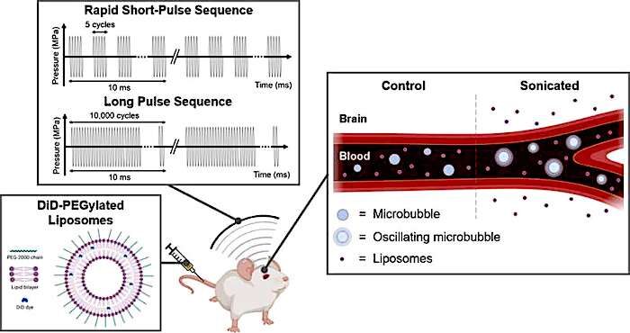 Click to enlarge Diagrams