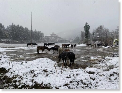 snow