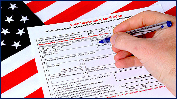 Click to enlarge voter form