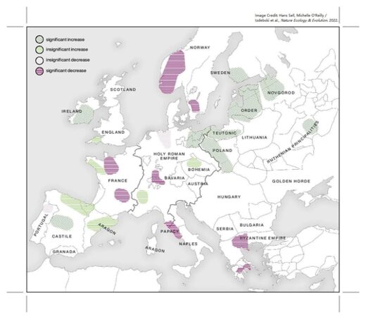 Europe during Black Death