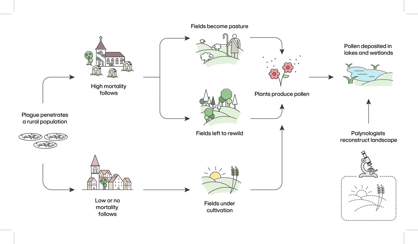 Click to enlarge The Big Data Palaeoecology
