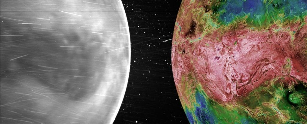 venus surface
