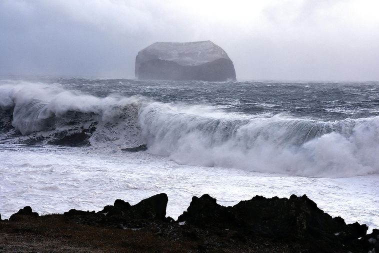 From Vestmannaeyjar islands, yesterday.