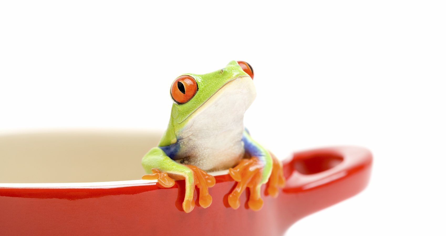 Slow Boil