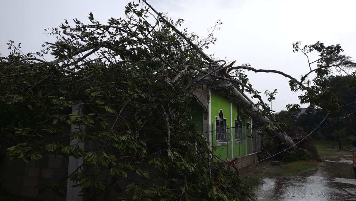 Click to enlarge Damage caused by a tornado that was recorded in Morales, Izabal on Sunday, February 13.