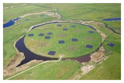 Click to enlarge Part of LOFAR in Exloo, Drenthe.