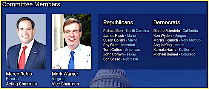 Committee members
