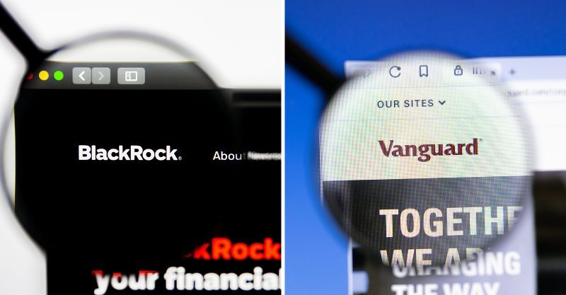 Click to enlarge BlackRock & Vanguard
