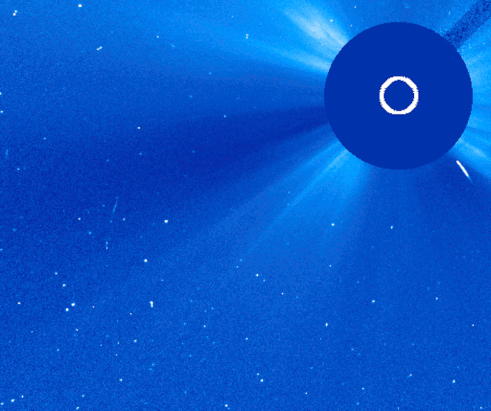 Two Sungrazers