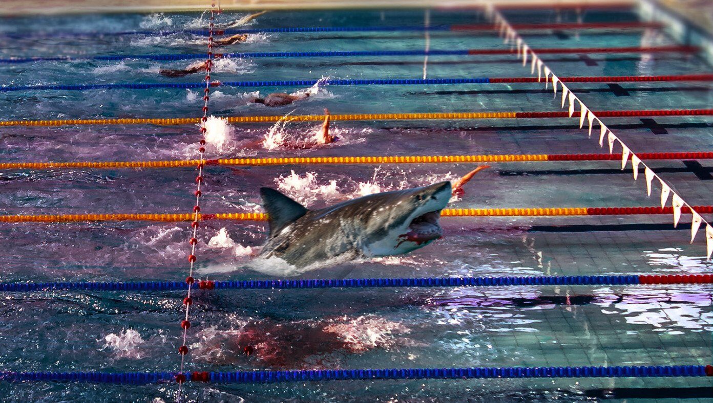 Massacre as Great White Shark allowed to compete in women's 500 freestyle