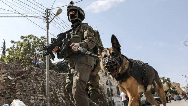 Click to enlarge Israeli K-9 soldier and dog