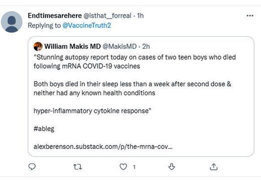 twee autopsy boys vaccine death
