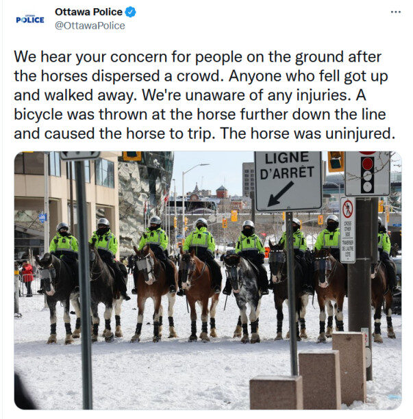 canada trucker protest 4