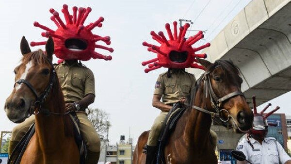 Click to enlarge covid on horses