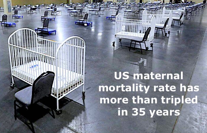 Cots/Cribs
