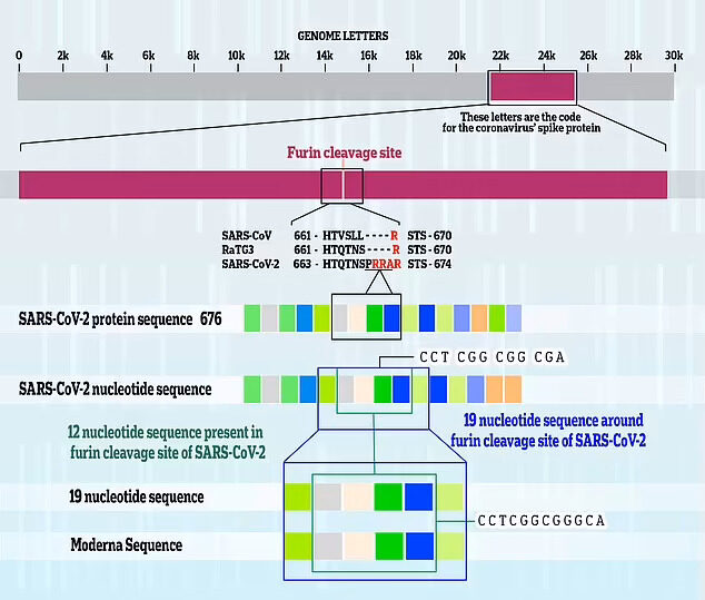 SARS-CoV-2 genetic code