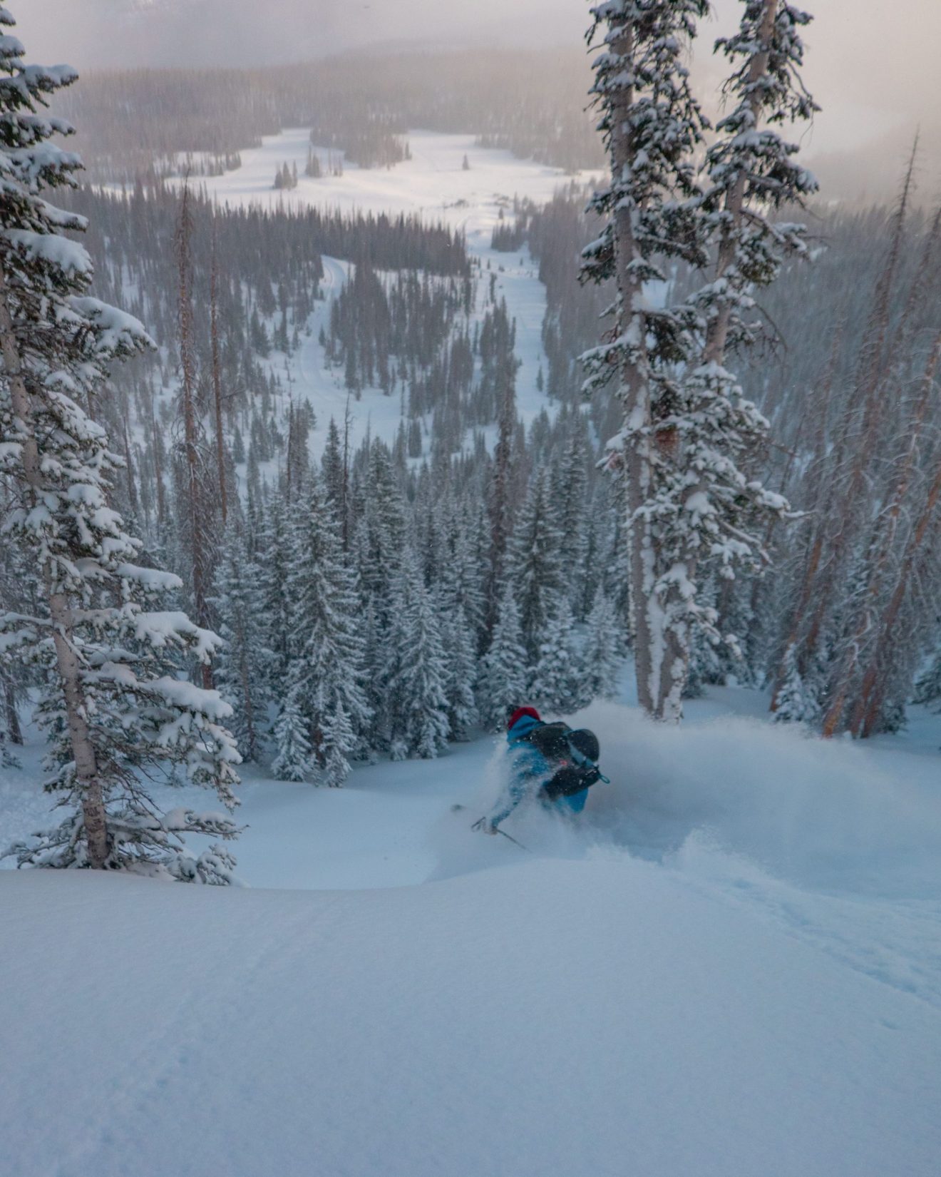 A skier makes turns in deep powder at Wolf Creek Ski Area, CO, which has received 43″ of new snow in the past 72 hours