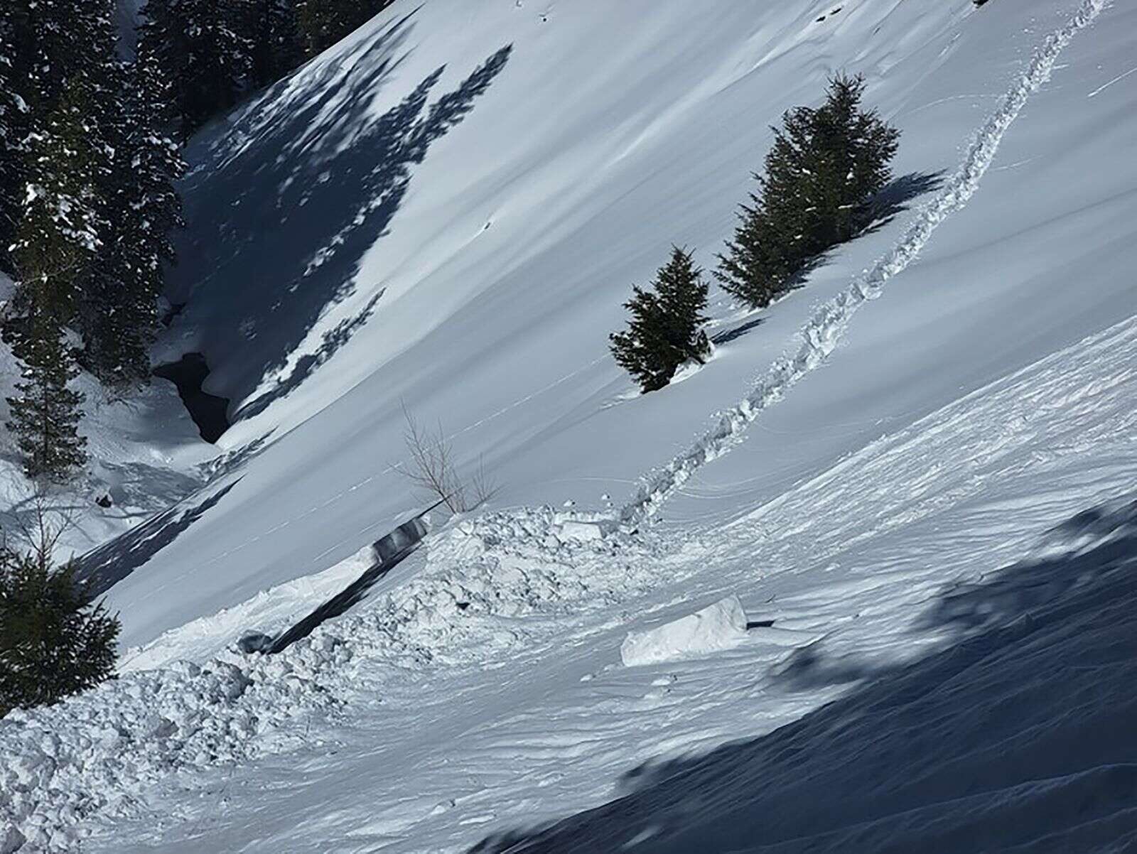 Looking to the north at the snowshoe track and the flank of the avalanche.
