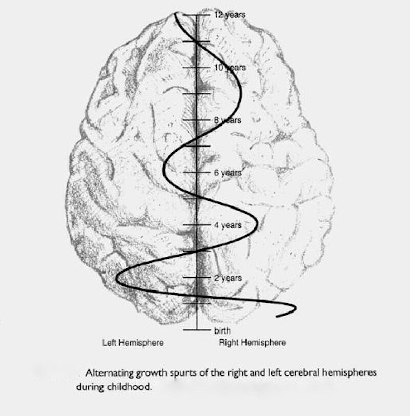 Click to enlarge alternating growth spurts
