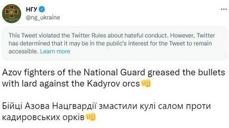 Click to enlarge ukraine army neo nazi