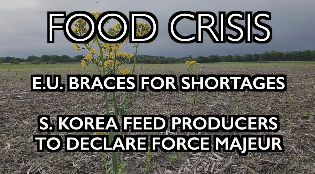 food crisis