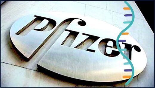 Pfizer COVID-19 vaccine converts to DNA inside human liver cells, new study finds Pfizer COVID-19 vaccine converts to DNA inside human liver cells, new study finds