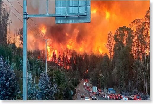 Red alert for forest fire in Chilean region of Valparaiso