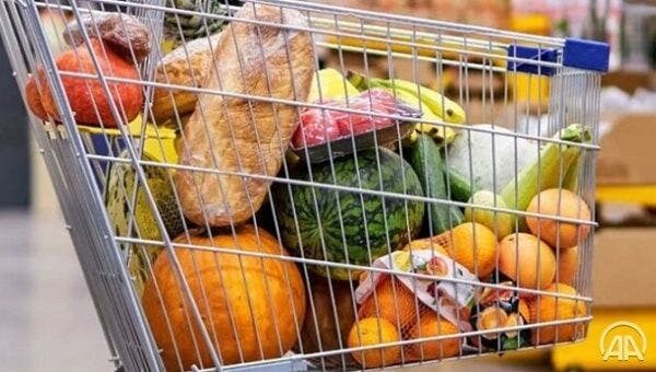 shopping cart groceries