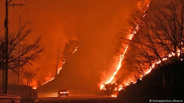 A major wildfire has devasted a large area on South Korea's eastern coast