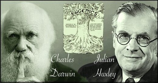 DarwinHuxley