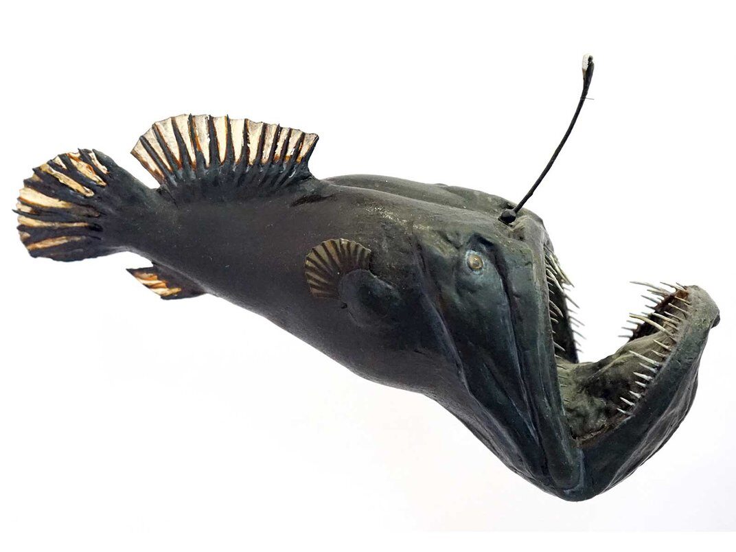 Click to enlarge model of an anglerfish