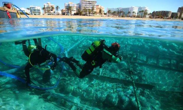 Click to enlarge Divers