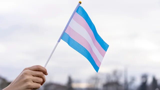 trans flag