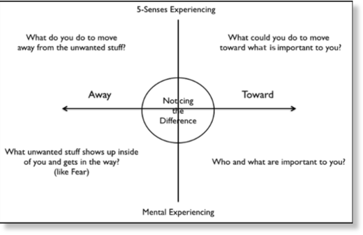 Acceptance and Commitment Therapy Matrix