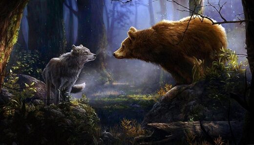 wolf and bear