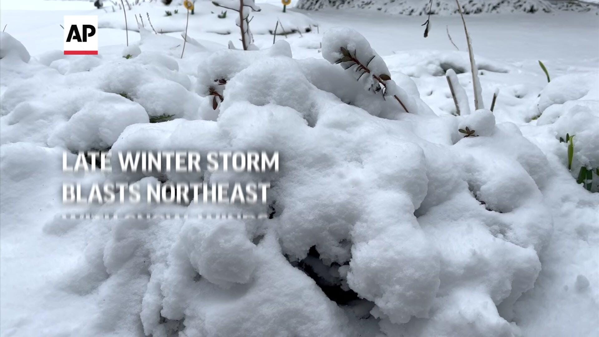 Click to enlarge SNOW