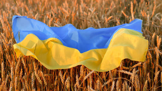 ukraine flag