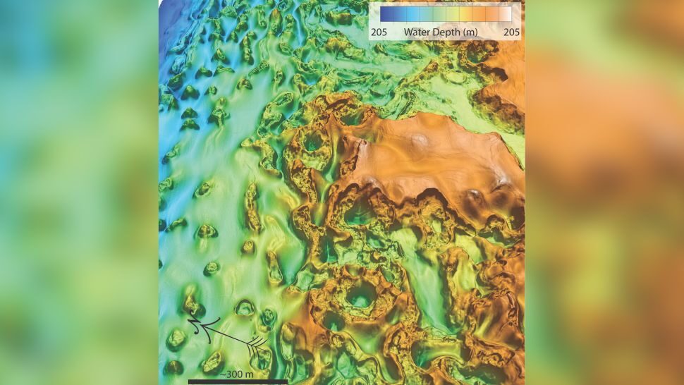 Click to enlarge Seafloor