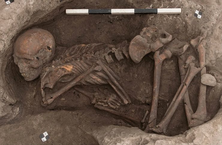 Click to enlarge Çatalhöyük